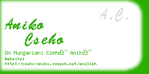 aniko cseho business card